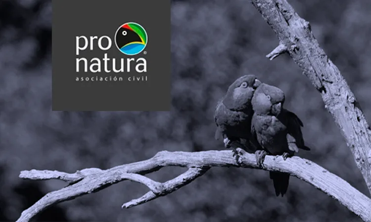 Pronatura